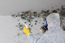 Best Mold Removal for HVAC Installations  in Norco, LA